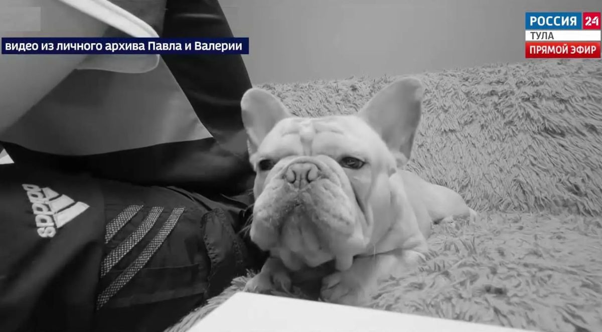Смертельная прививка имела фальшивый паспорт: возбуждено уголовное дело