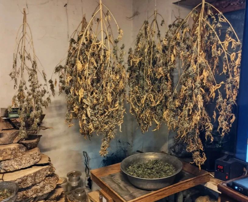Под Тулой задержали наркоагрария с 50 кг марихуаны