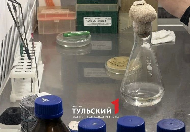 Ученые из Тулы научились создавать пакеты из воздуха Ученые из Тулы научились создавать пакеты из воздуха
