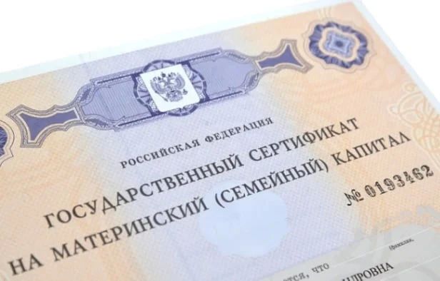 В Тульской области более 413 млн рублей направлены на ежемеcячные выплаты из материнского капитала