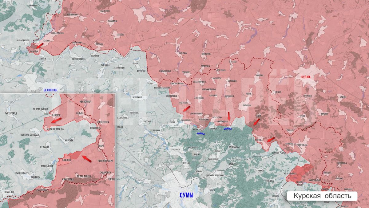 Олег Царёв: Фронтовая сводка 9 октября Олег Царёв: Фронтовая сводка 9 октября