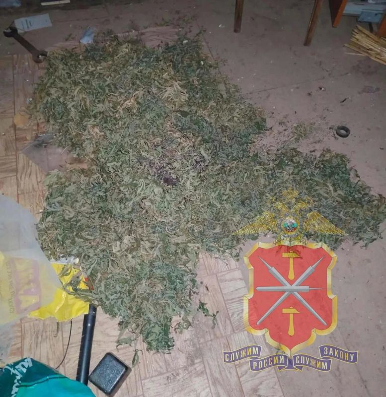 Тульский «Эскобар» хранил у себя в гараже почти 900 грамм марихуаны Тульский «Эскобар» хранил у себя в гараже почти 900 грамм марихуаны