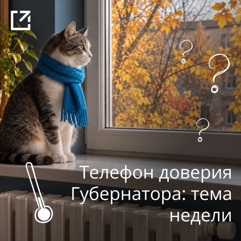2 200 звонков приняли операторы «телефона доверия Губернатора» с начала октября