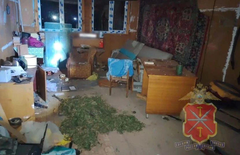 Полиция нашла у жителя Заокского района почти 900 граммов марихуаны Полиция нашла у жителя Заокского района почти 900 граммов марихуаны