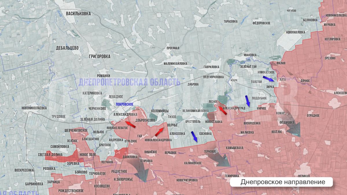 Олег Царёв: Фронтовая сводка 9 октября Олег Царёв: Фронтовая сводка 9 октября
