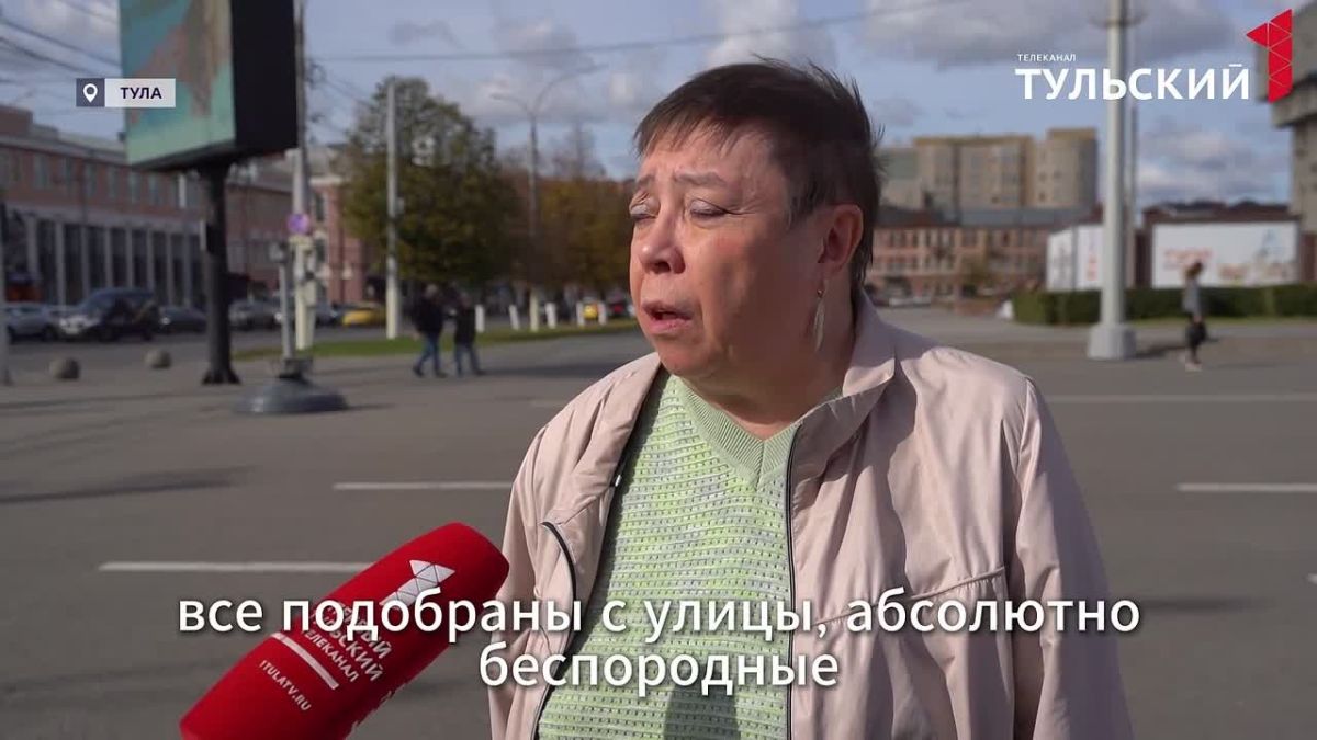 Туляки рассказали о своих питомцах