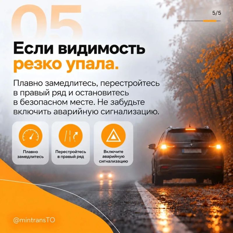 Осенние туманы на дорогах. Как безопасно управлять автомобилем Осенние туманы на дорогах. Как безопасно управлять автомобилем