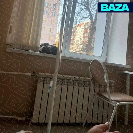 Жителя Тулы госпитализировали с малярией после семейного тура в Занзибар