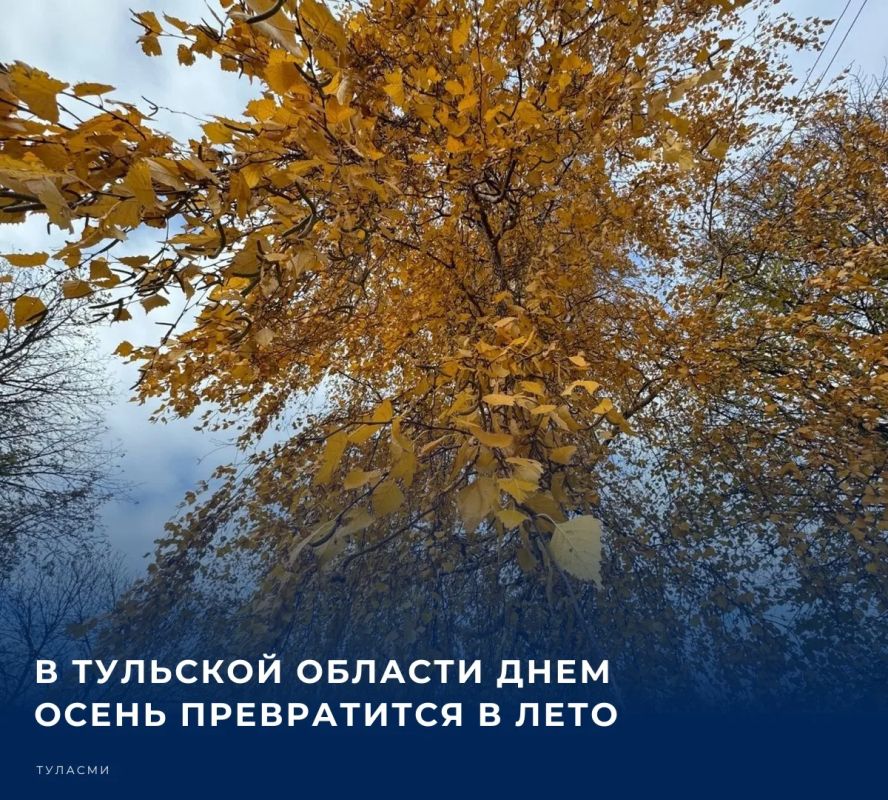 Прогнозом погоды на сегодня, 12 октября, делится пресс-служба регионального Главного управления МЧС России