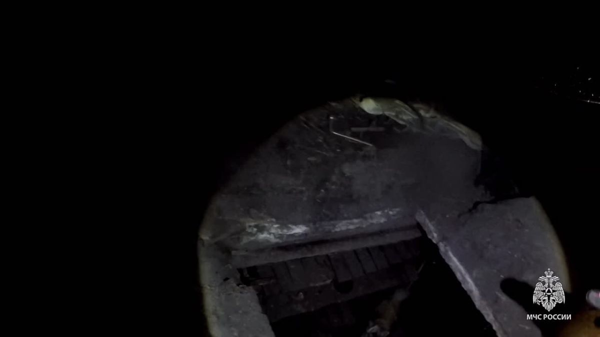 Сотрудники 25 пожарно-спасательной части Новомосковска спасли собаку из подвала