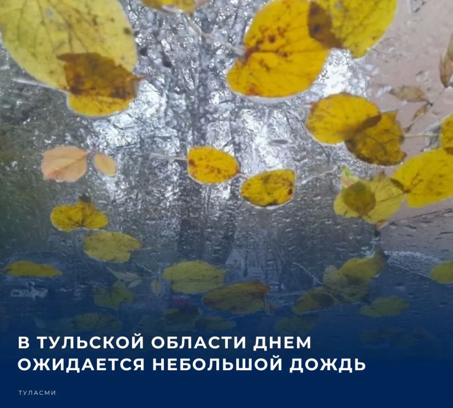 По данным Гидрометцентра, сегодня в Туле и области в дневные часы ожидается небольшой дождь – до 0,1 мм. Будет облачно с прояснением