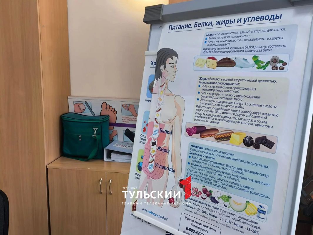 Эндокринолог из Тулы объяснил влияние типа телосложения на лишний вес Эндокринолог из Тулы объяснил влияние типа телосложения на лишний вес