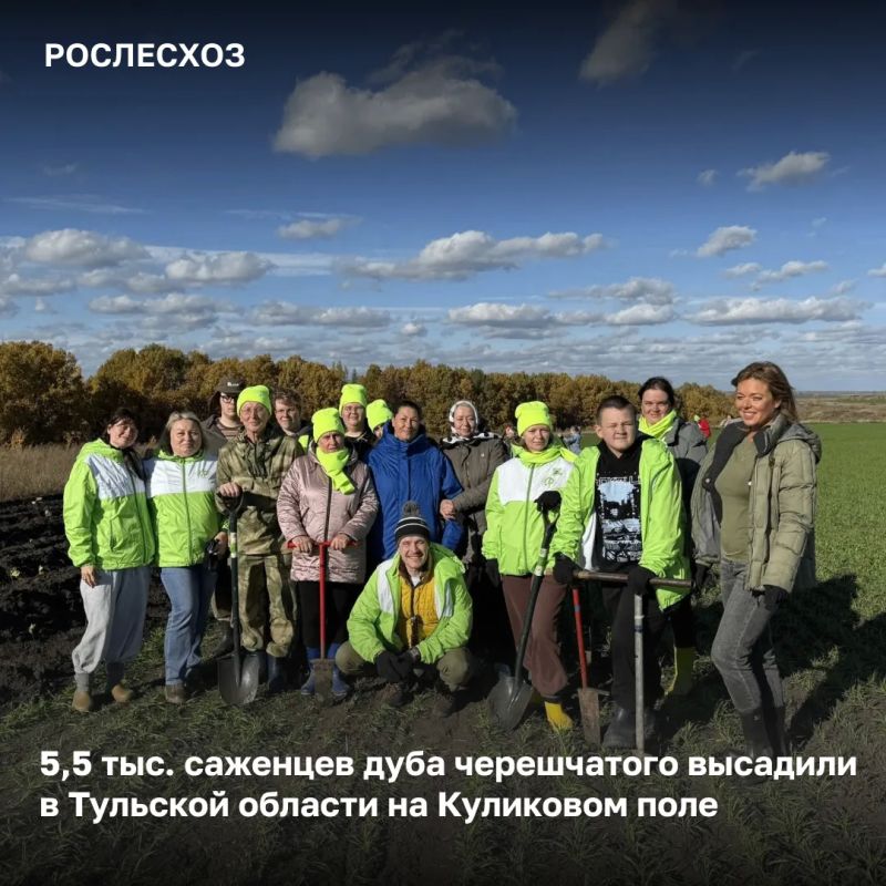 Ежегодная акция «Зеленая дубрава» прошла в Тульской области