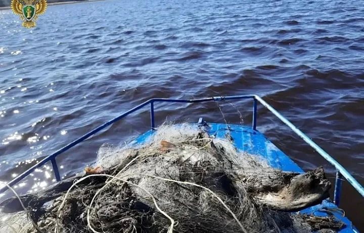У рыболовных сетей без хозяев появился новый владелец — государство