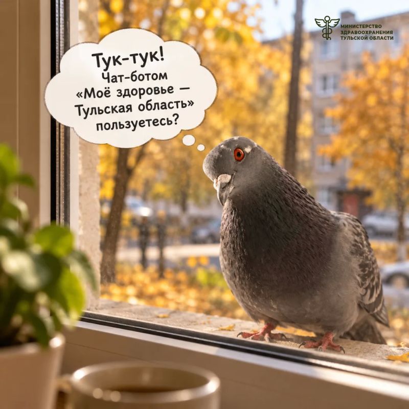Нужно записаться к врачу?. Воспользуйтесь медицинским чат-ботом