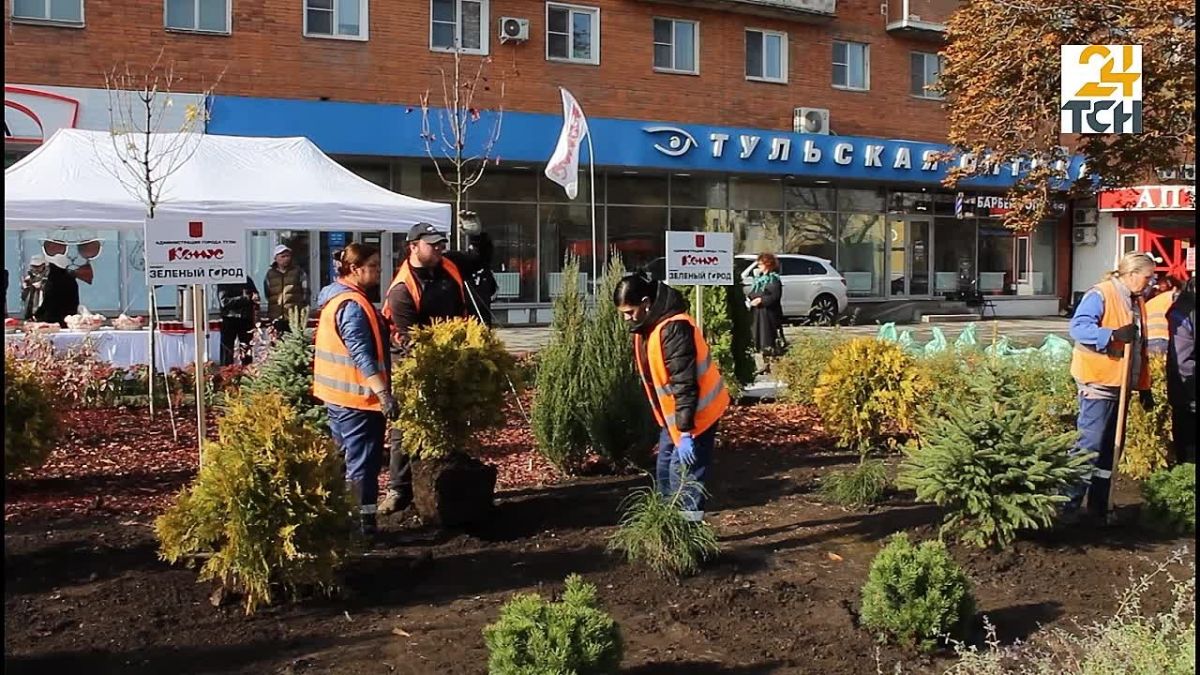 На улице Советской в Туле высадили 10 000 новых растений