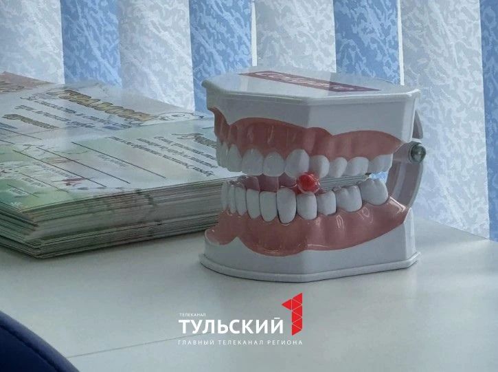 Школьник из Суворова подарил Миляеву плюшевых жителей «Территории семейного счастья» Школьник из Суворова подарил Миляеву плюшевых жителей «Территории семейного счастья»