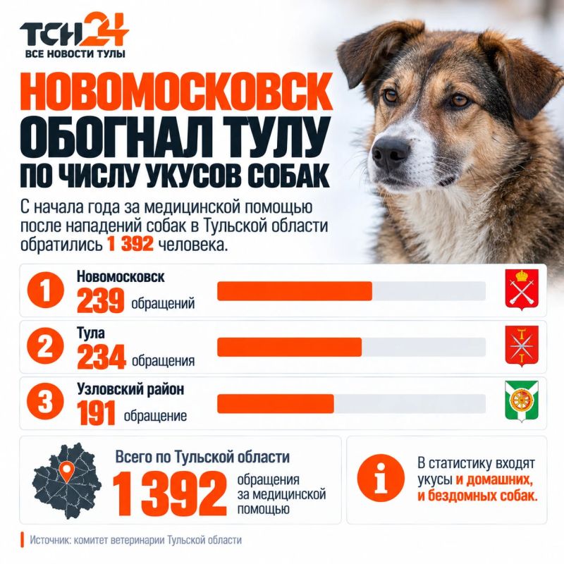 Новомосковск обогнал Тулу по числу укусов собак