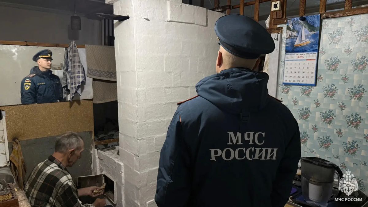 Сотрудники МЧС России напоминают жителям Тульской области о правилах пожарной безопасности при эксплуатации печей