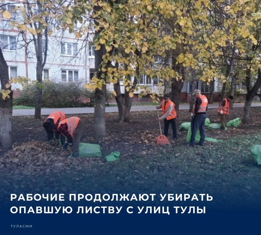 Как сообщает пресс-служба городской администрации, тульские коммунальные службы круглосуточно чистят дороги и тротуары, а также избавляются от летучего мусора