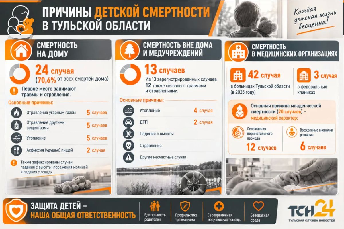 Отравления, асфиксия, падения с лошади - самые частые причины детской смертности в Тульской области