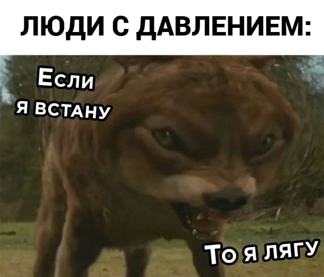 В центре России ожидается аномально высокое атмосферное давление