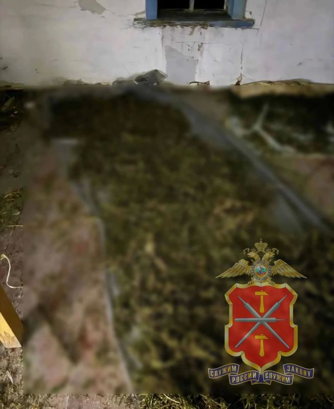 В Куркинском округе полиция нашла в заброшенном сельском доме тайник с 7 кг наркотиков и установила его владельца