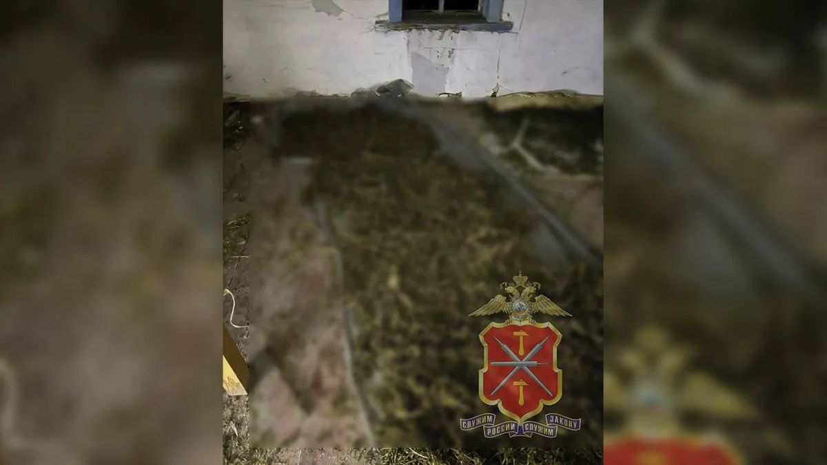 В Тульской области рецидивист спрятал в "заброшке" 7 кг наркотиков В Тульской области рецидивист спрятал в "заброшке" 7 кг наркотиков