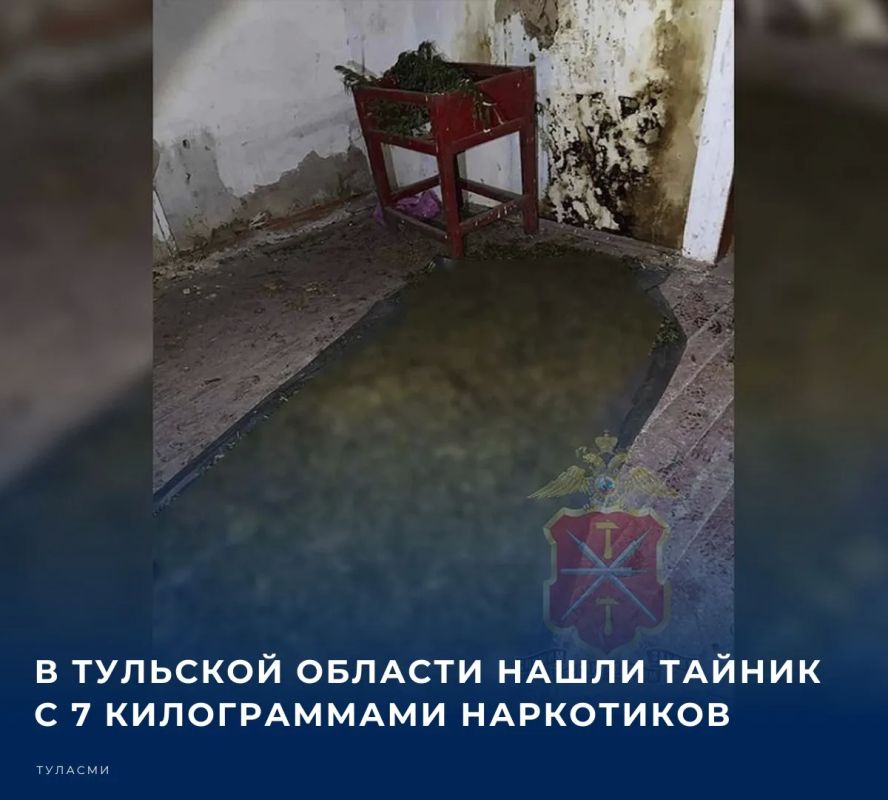 Находка была сделана в деревне Марьинка Куркинского муниципального округа, сообщает МВД-Медиа со ссылкой на региональной Управление ведомства
