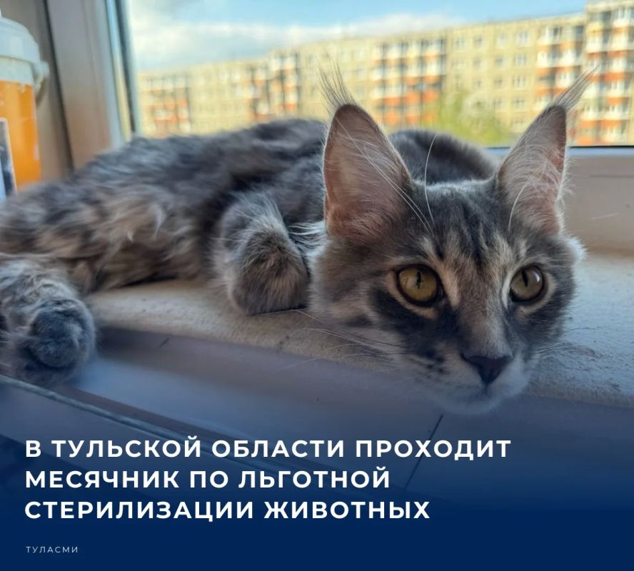 Акция проводится в государственных учреждениях ветеринарии тульского региона