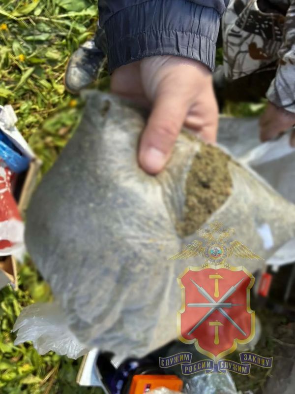 В Донском сотрудники полиции изъяли из незаконного оборота крупные партии наркотических средств В Донском сотрудники полиции изъяли из незаконного оборота крупные партии наркотических средств