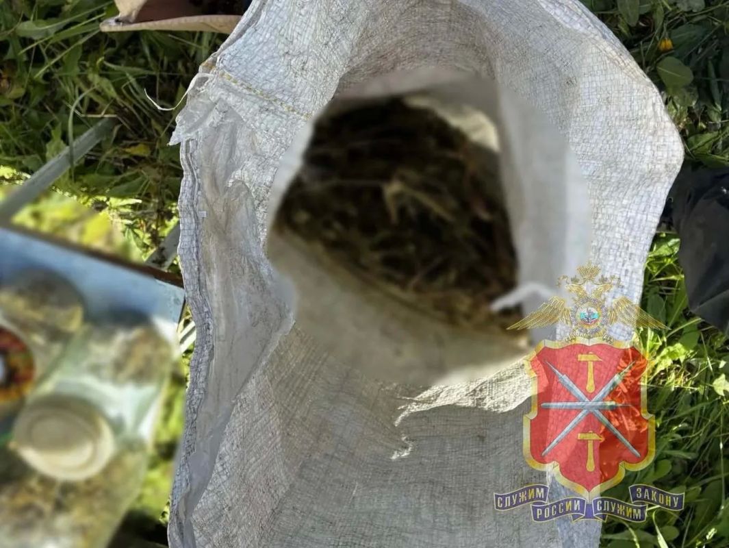 В Донском полицейские изъяли крупную партию наркотиков В Донском полицейские изъяли крупную партию наркотиков