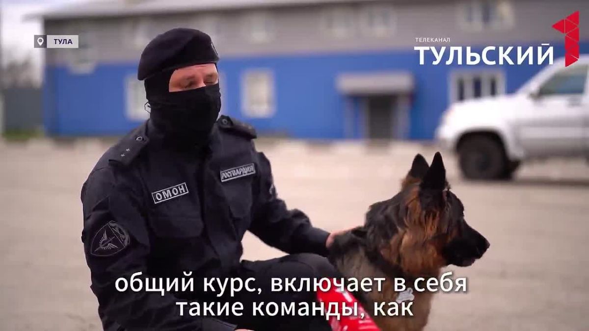 Как устроена "полицейская академия" в Туле?