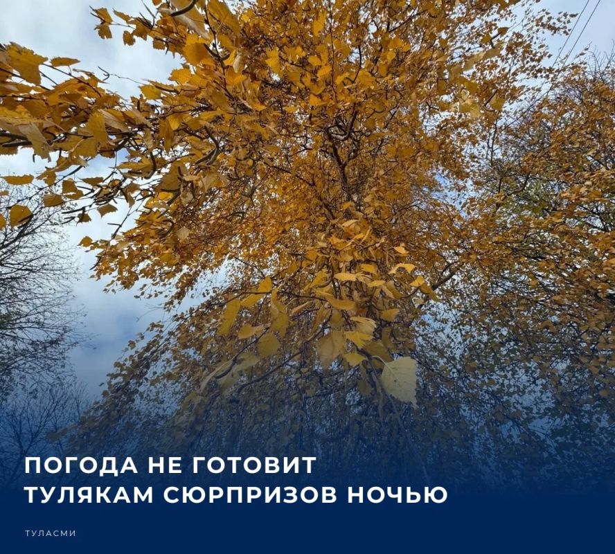 По прогнозу синоптиков, в ночь на 24 октября в тульском регионе сохранится переменная облачность