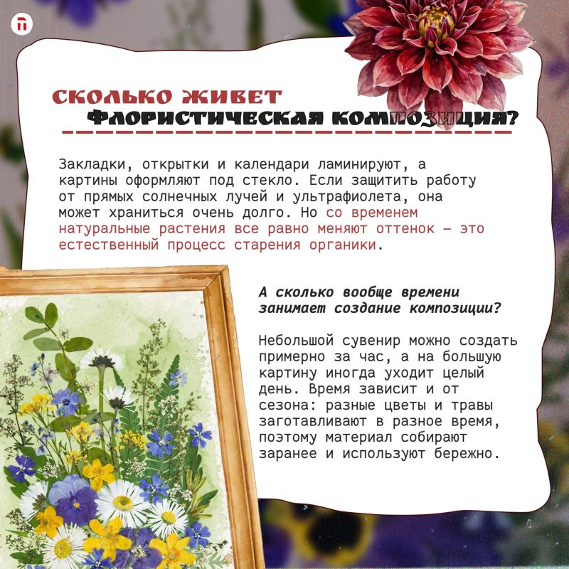 Как превратить цветы из Ясной Поляны в сувенир — и сохранить его на годы? Как превратить цветы из Ясной Поляны в сувенир — и сохранить его на годы?