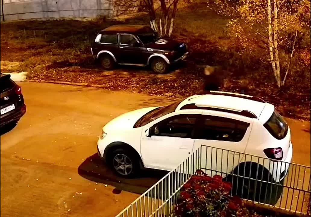 Подростки в Ефремове слишком радикально борются с бессонницей