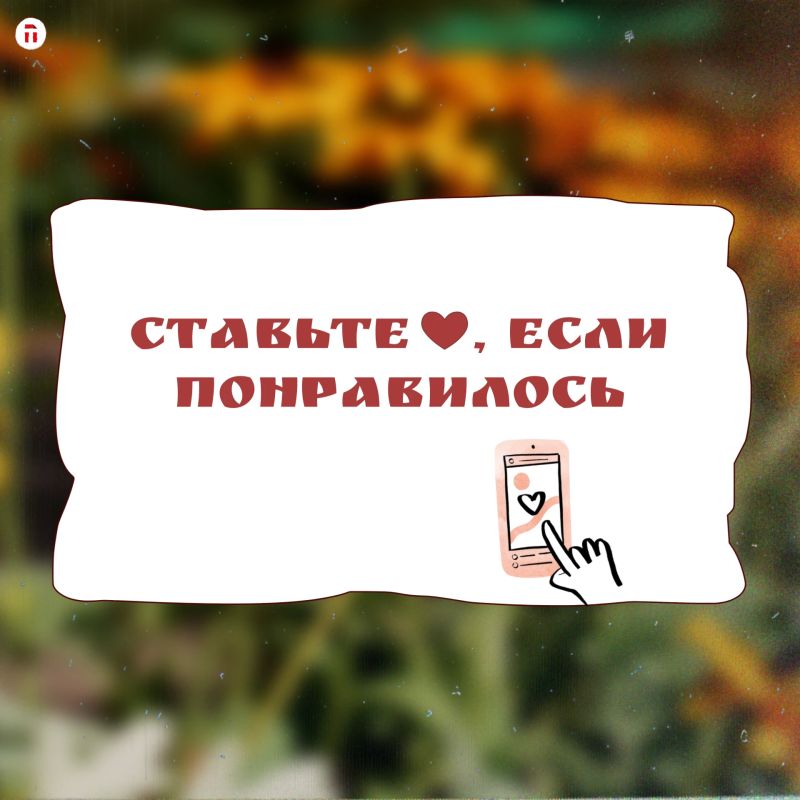 Как превратить цветы из Ясной Поляны в сувенир — и сохранить его на годы? Как превратить цветы из Ясной Поляны в сувенир — и сохранить его на годы?