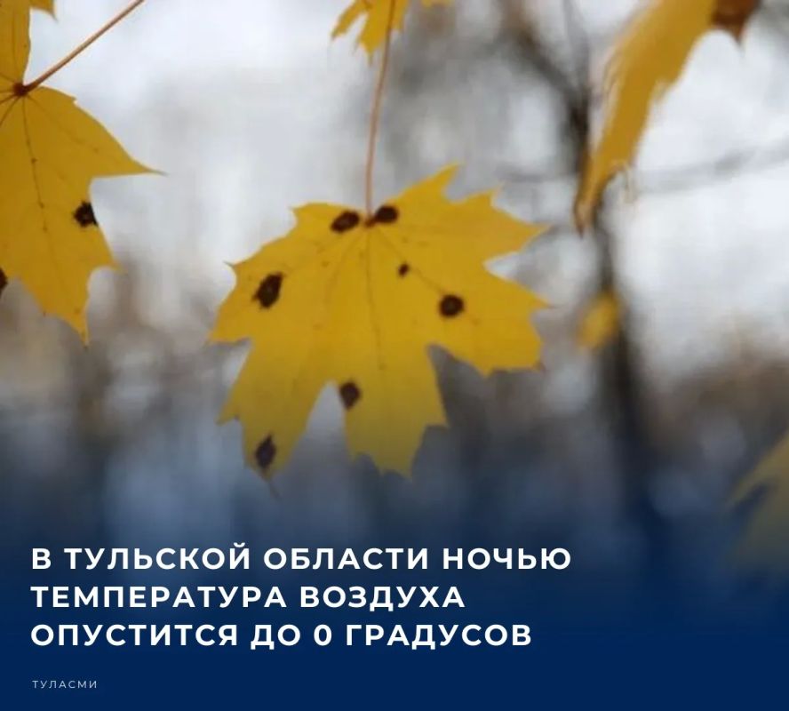 Предстоящей ночью на территории нашего региона будет прохладно