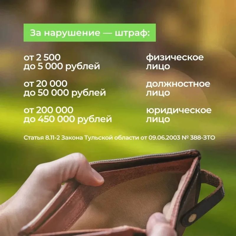 Им не место в обычном мусоре! Им не место в обычном мусоре!