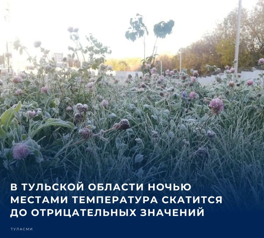 По прогнозу синоптиков, 28 октября в тульском регионе сохранится переменная облачность