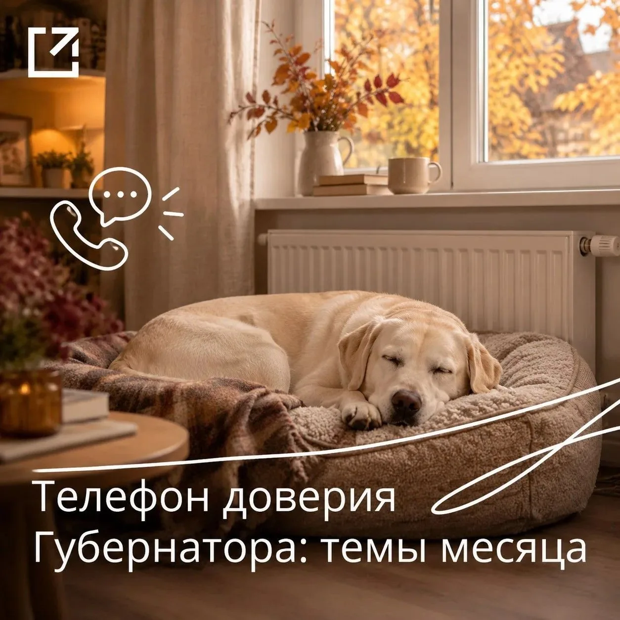 В октябре жители позвонили на «Телефон доверия Губернатора» более 8 500 раз