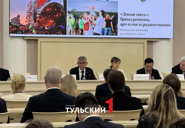 В 2027 году в Тульской области создадут музыкальный лейбл «Дикая мята»