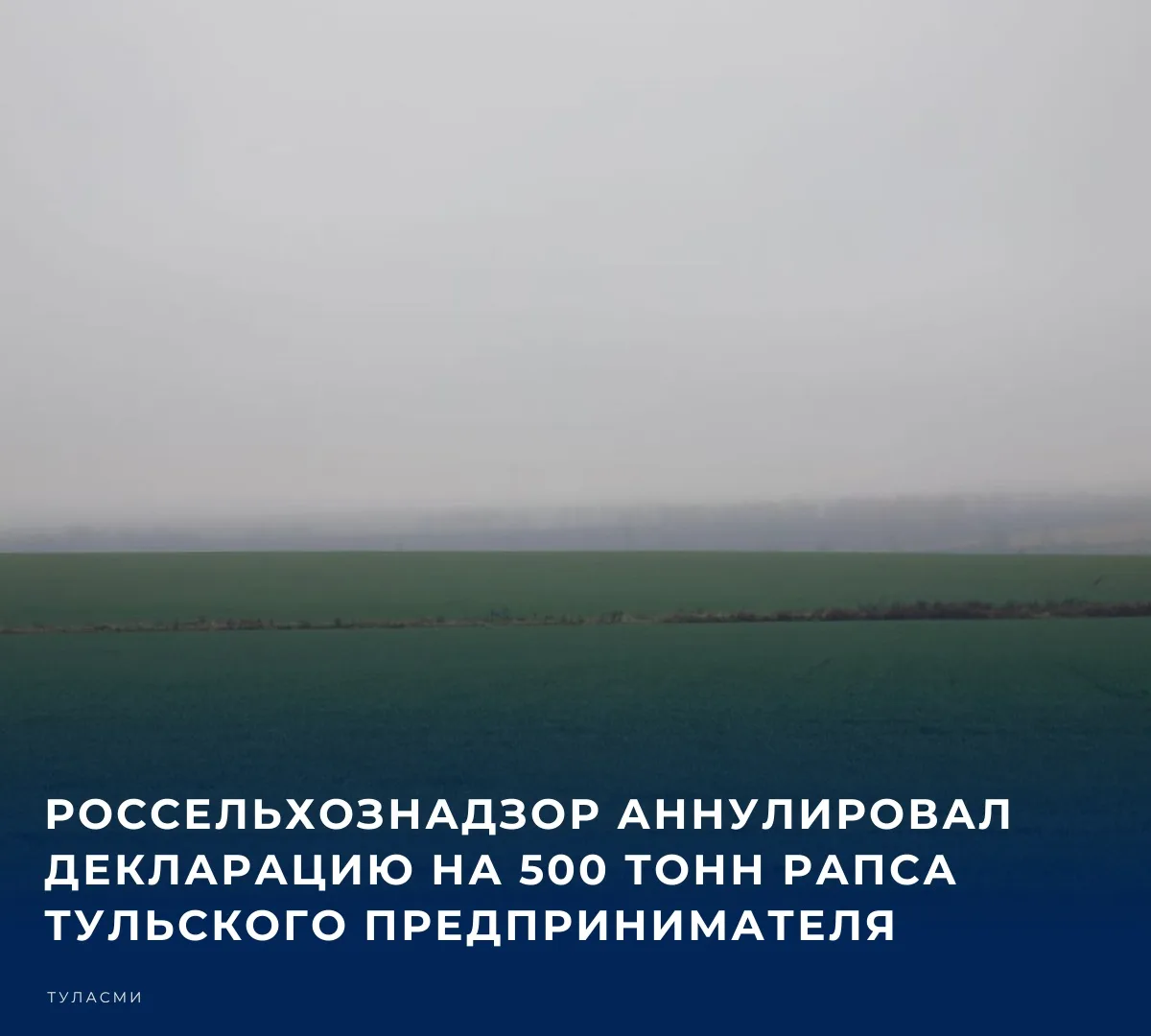 В Тульской области признана недействительной декларация о соответствии на крупную партию рапса