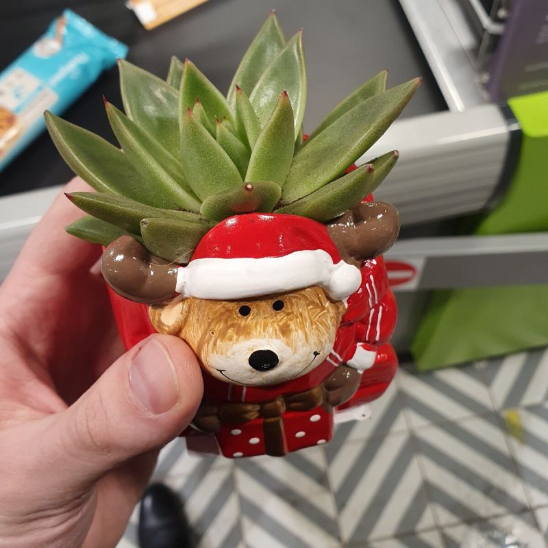 ��� ����� ������ ���� �����: �� ������� ��������� �� ��������� �����