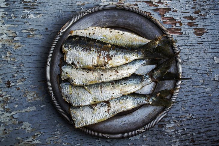 Как готовить фаршированную рыбу: вкусные рецепты горячего, которое будет сытным и полезным