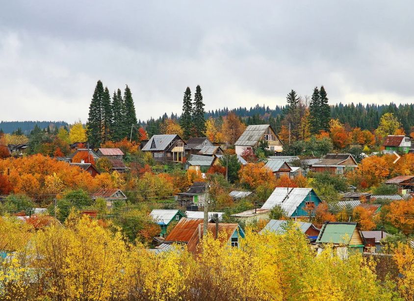 Осенний уход за садом: что необходимо сделать в ноябре