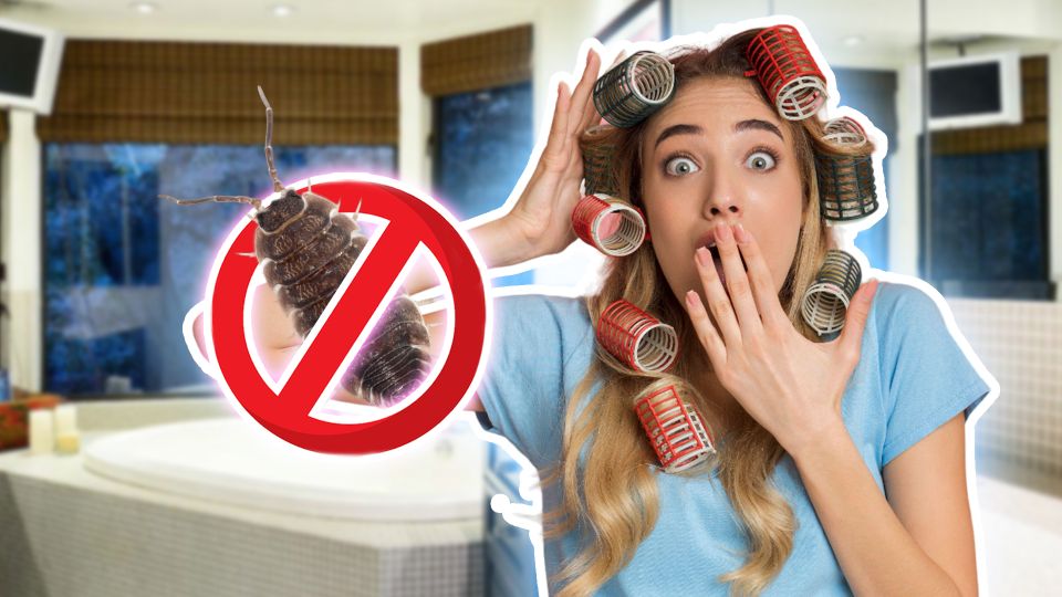 Мерзкие «жучки» перестанут ползать в ванной: мокриц выведет одно средство