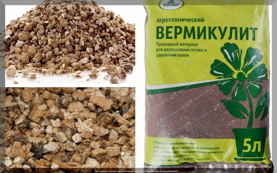 Вермикулит: секреты применения для здоровья ваших растений каждую весну
