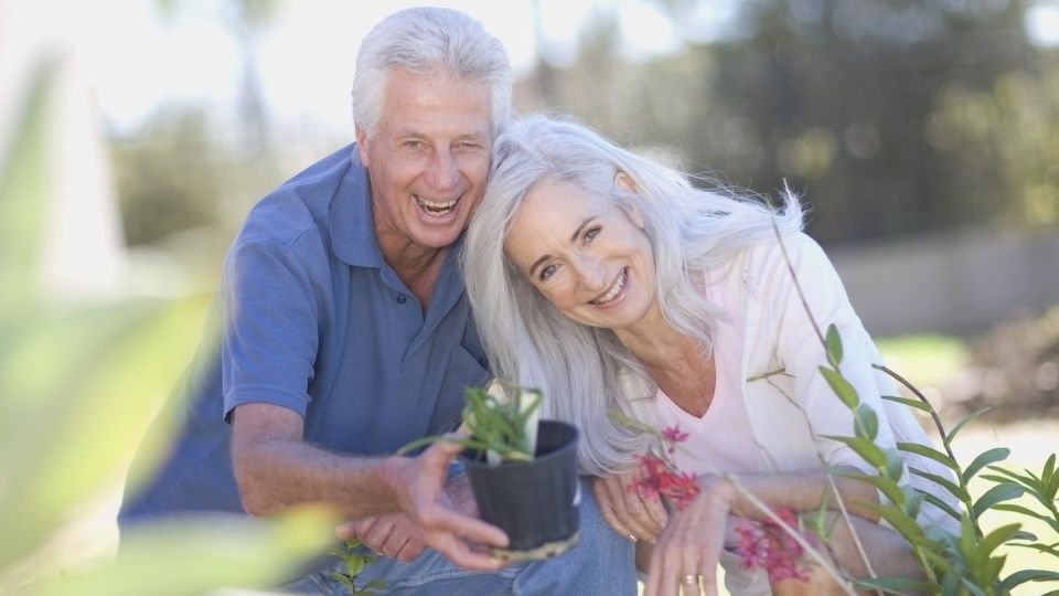 Сажать нужно прямо сейчас: этот многолетний куст порадует пышной охапкой цветов к лету