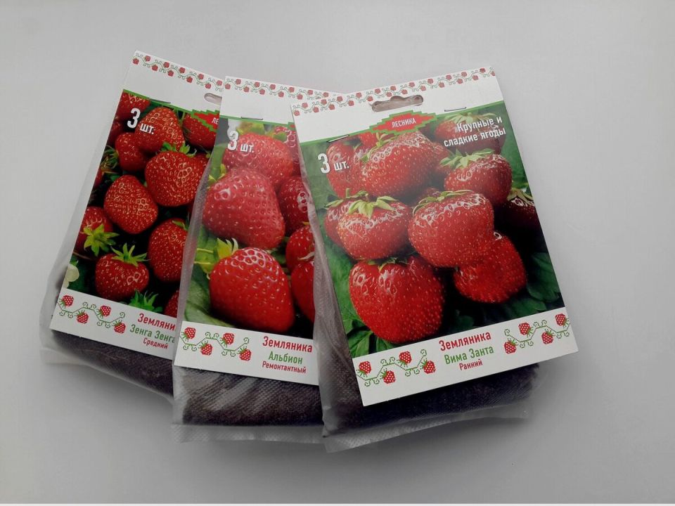 Загадка земляники фриго: стоит ли это дачнику?